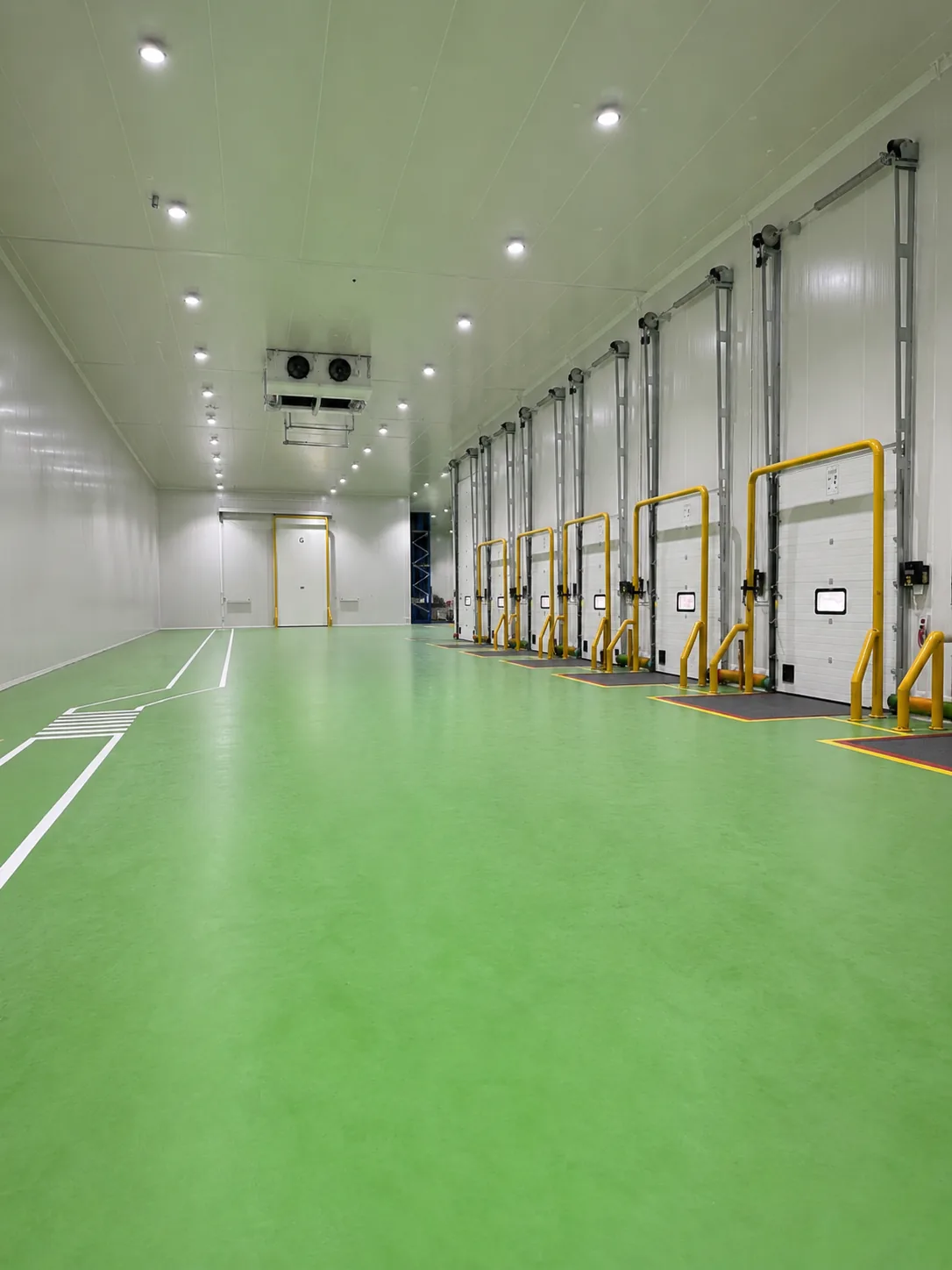 Cold storage loading dock with temperature-controlled dock doors and a finished green floor